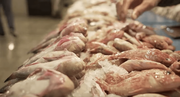 الصين تستحوذ على 75% من ثروة تونس السمكيّة.. والانفجار الاجتماعي والاقتصادي بات وشيكاً 3 تونس