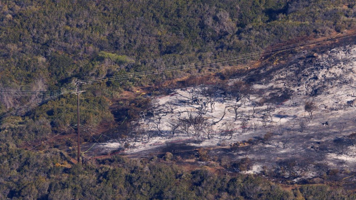 رجال الإطفاء الأمريكيون يكافحون حرائق الغابات في الأراضي الزراعية