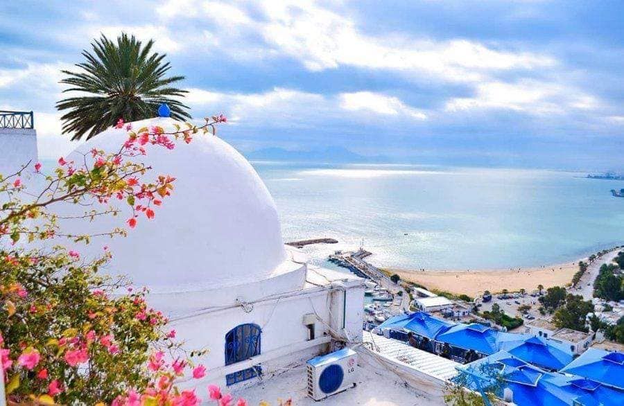 تونس ... وجهة الأحلام في فرنسا 1 تونس ... وجهة الأحلام في فرنسا