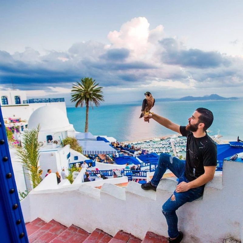 تونس ... وجهة الأحلام في فرنسا 2 تونس ... وجهة الأحلام في فرنسا