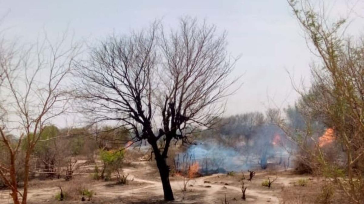 إرهابيون تابعون لبوكو حرام يفرون من بورنو 1 إرهابيون تابعون لبوكو حرام يفرون من بورنو