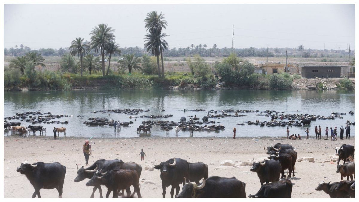 العراق.. شبح الجفاف يخيم بمآسيه