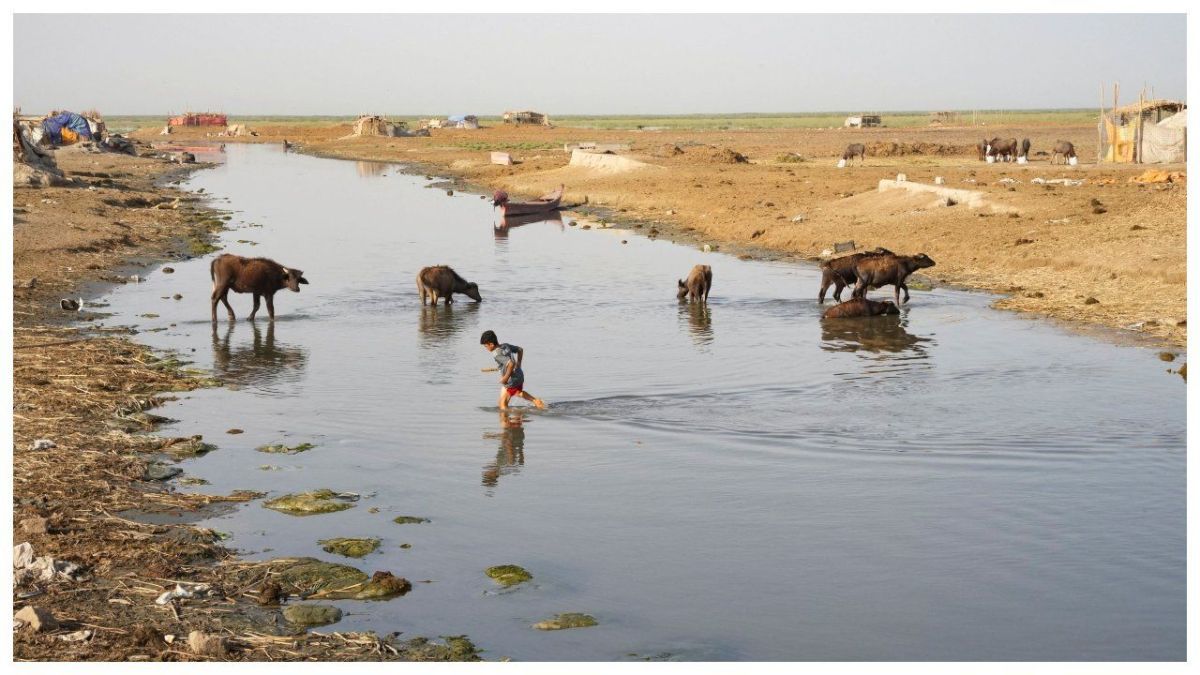 العراق.. شبح الجفاف يخيم بمآسيه