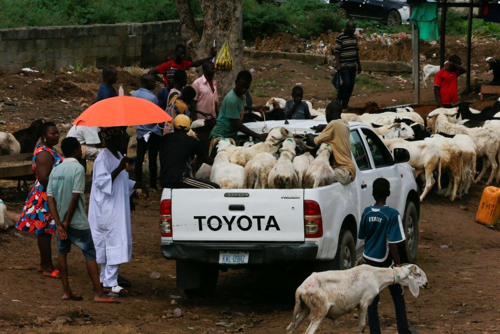 المسلمون يصدمون بارتفاع أسعار الأضاحي