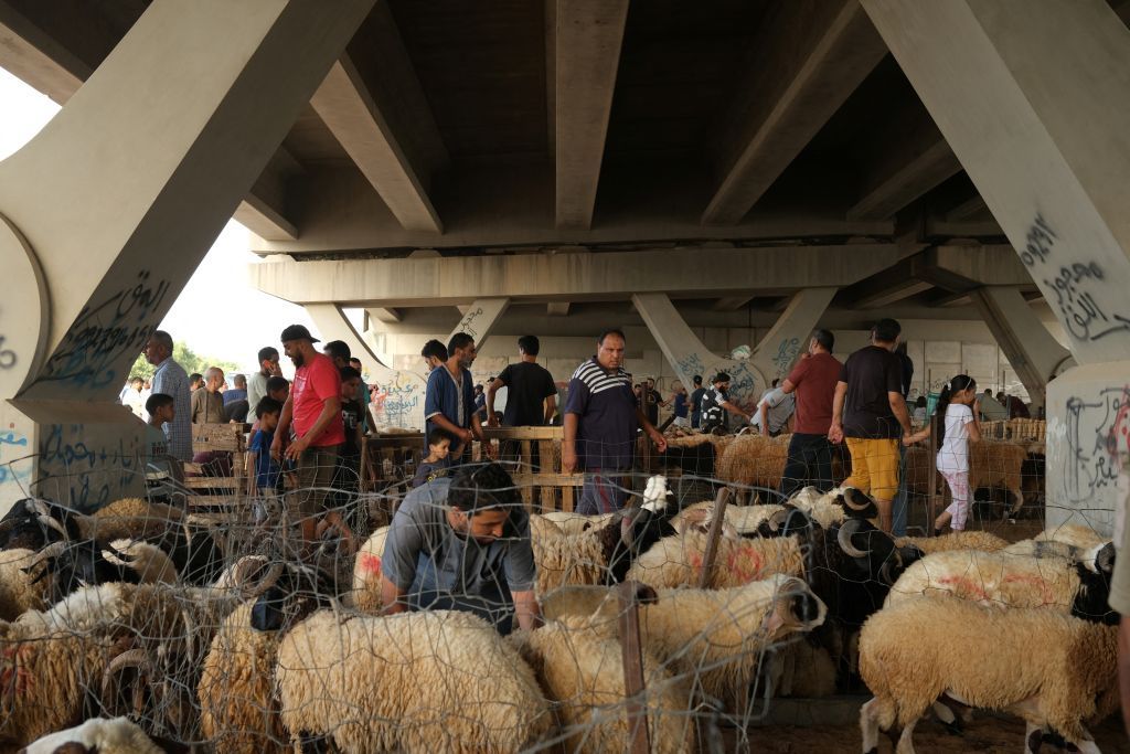 المسلمون يصدمون بارتفاع أسعار الأضاحي