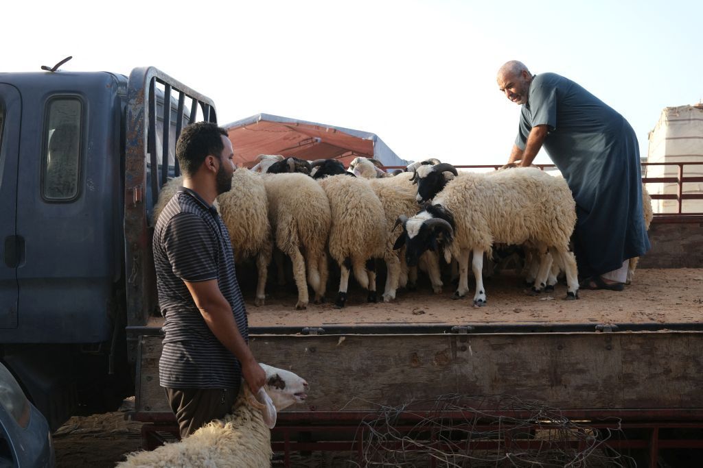 المسلمون يصدمون بارتفاع أسعار الأضاحي