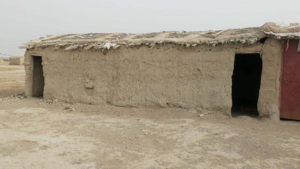 أهوار العراق ..من لائحة التراث العالمي إلى الجفاف