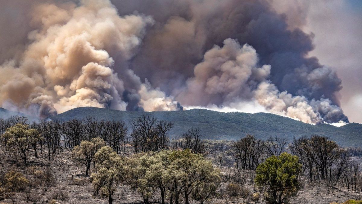 محاولة للسيطرة على حرائق الغابات في المغرب