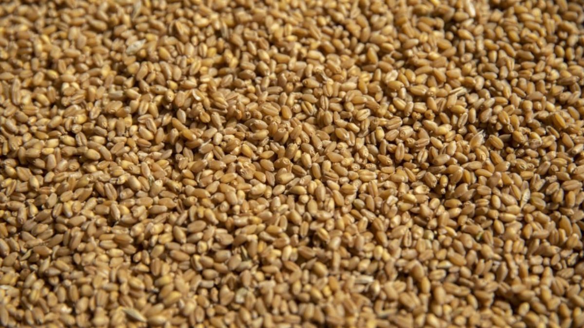 الغذاء يحرج العراقيين