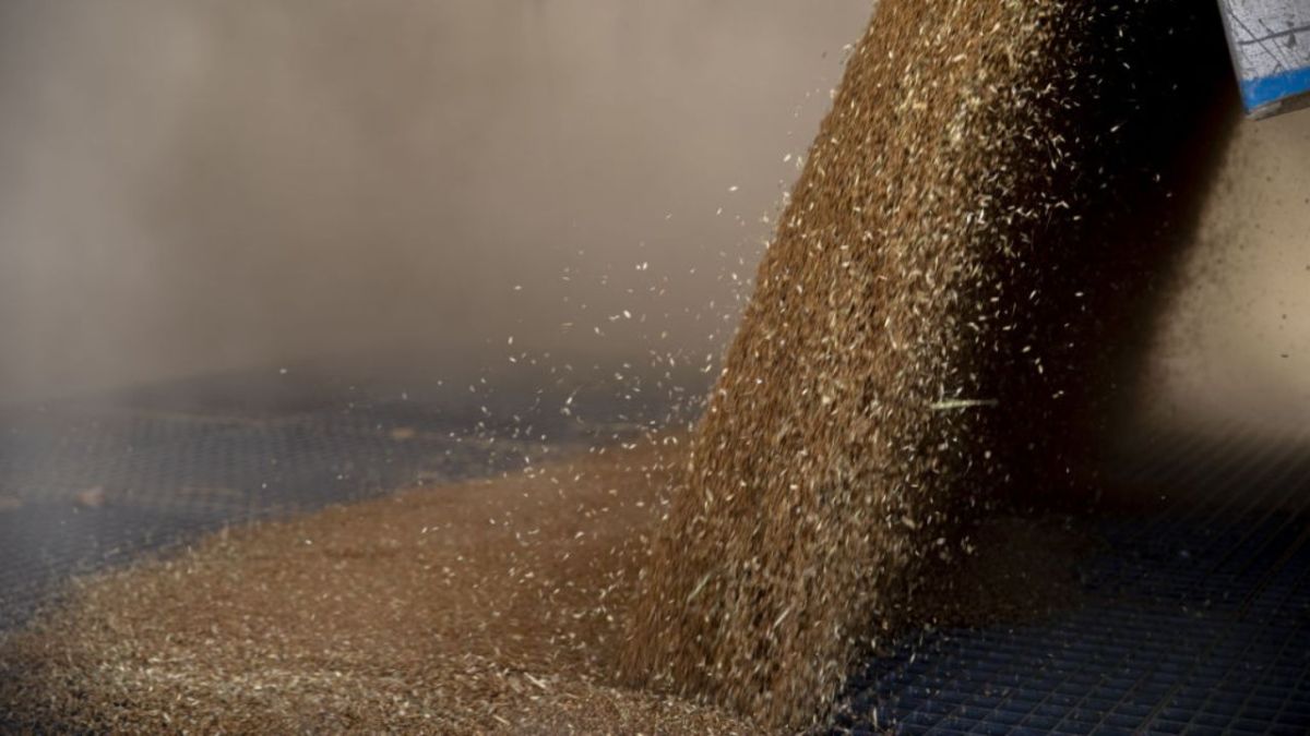 الغذاء يحرج العراقيين