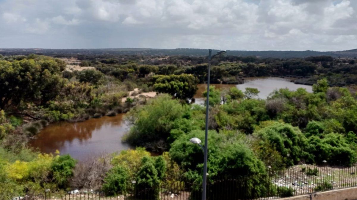 المغرب: الحزام الأخضر بالصويرة.. ثروة بيئية تواجه أزمة المناخ 4 جهود الحزام الأخض