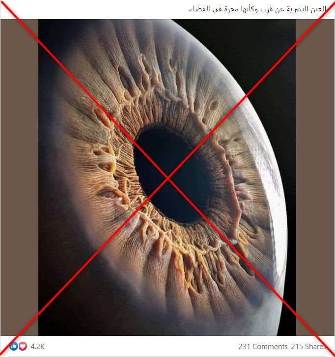 صورة العين البشرية عن قرب تذهل العالم.. فما حقيقتها؟