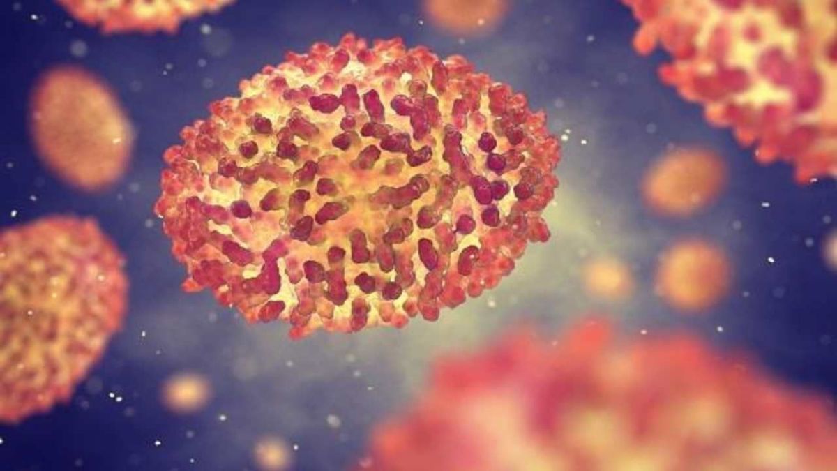 بعد جدري القردة.. ماذا يعني إعلان الطوارئ العالمية؟ 1 جدري القردة