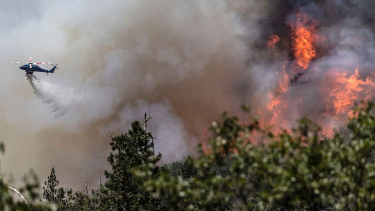 بالصور.. حرائق غابات تأتي على آلاف الهكتارات