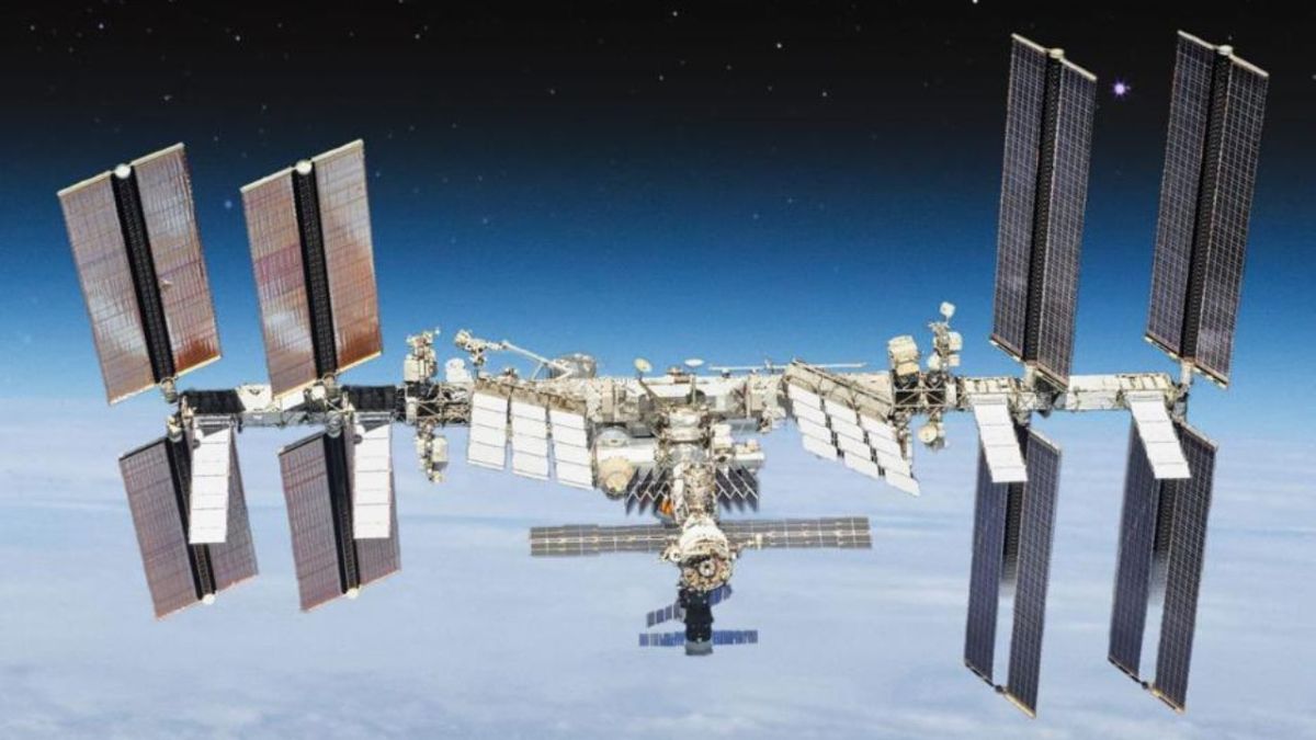 سلطان النيادي.. أول رائد فضاء عربي يقضي مهمة طويلة في الفضاء 2 سلطان النيادي.. أول رائد فضاء عربي يقضي مهمة طويلة في الفضاء