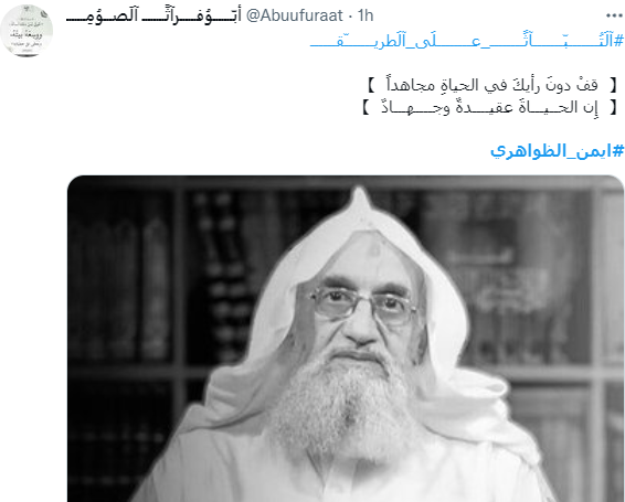 ردود الأفعال الجهادية على مقتل أيمن الظواهري: القاعدة صامتة والخلافات تلوح في الأفق
