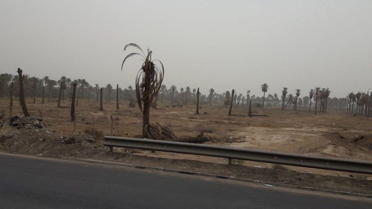 العراق يعاني من العطش والجفاف بسبب قطع تركيا لمياه نهري دجلة والفرات 2 العراق يعاني من العطش والجفاف بسبب قطع تركيا لمياه نهري دجلة والفرات