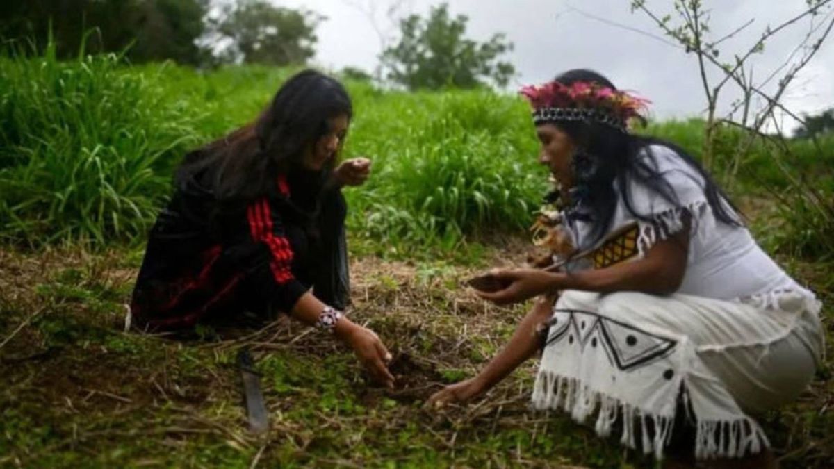 في اليوم العالمي للسكان الأصليين.. شعب مبيا غواراني يعود إلى موطنه بعد 150 عاما