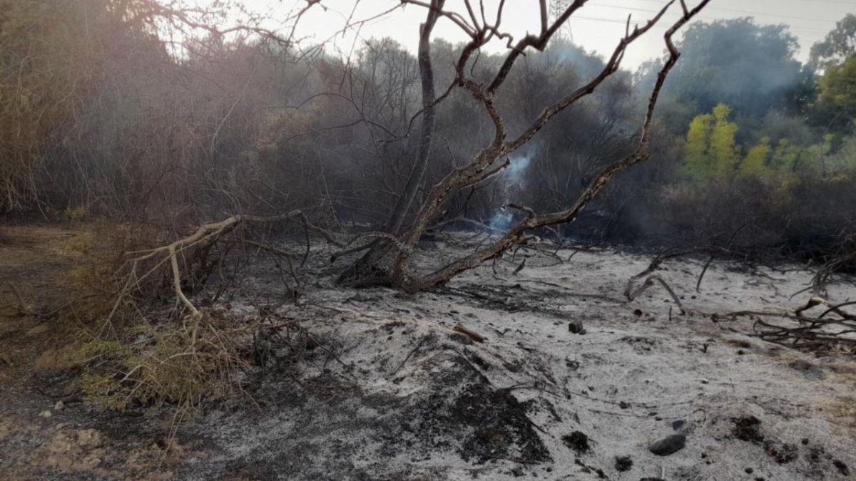 فاجعة في الجزائر.. حرائق تعيد شبح صيف 2021 وأرقام قياسية في الضحايا