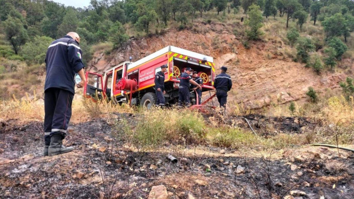 فاجعة في الجزائر.. حرائق تعيد شبح صيف 2021 وأرقام قياسية في الضحايا