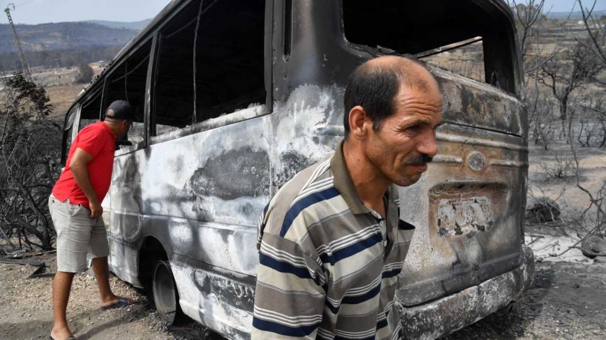 احتواء غالبية الحرائق في الجزائر