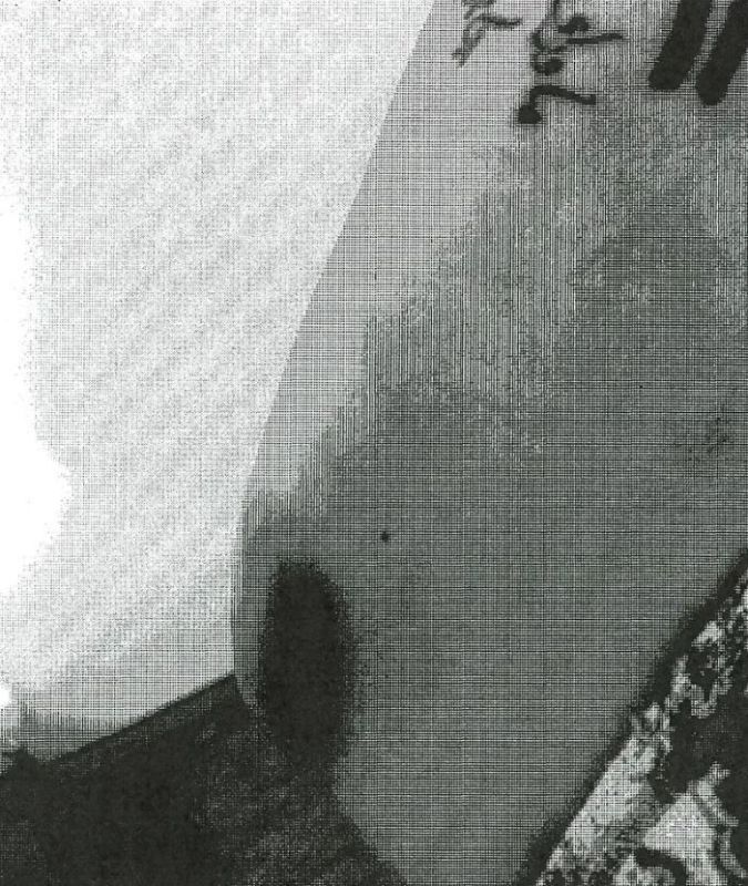 أنجلينا جولي