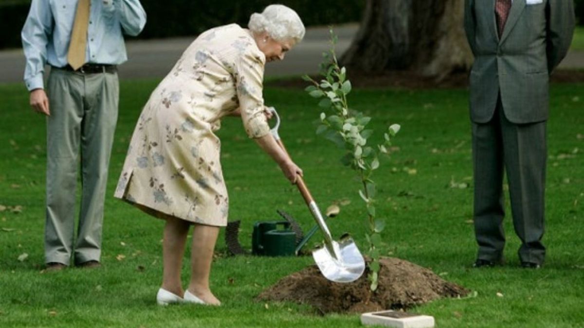 صور من تاريخ الملكة إليزابيث