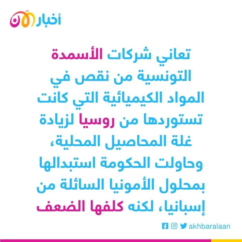 تونس تعاني.. كيف حرمتها مغامرة بوتين في أوكرانيا من القمح والأسمدة والسياح؟