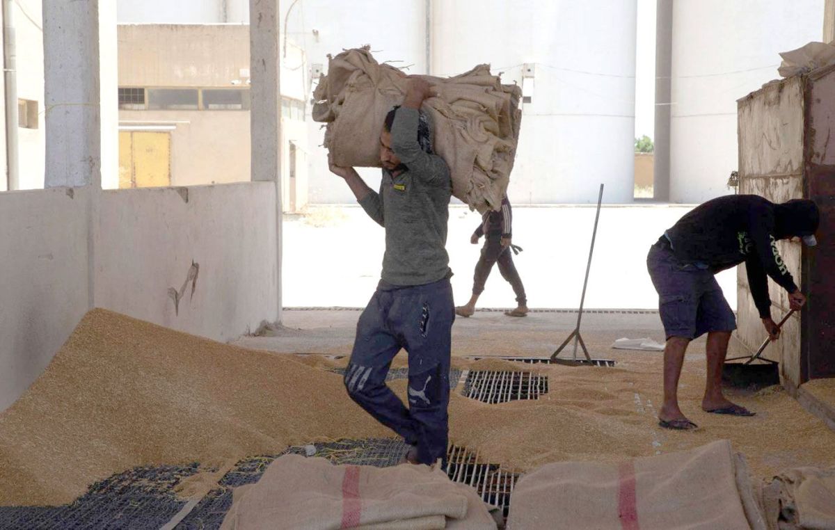 الجفاف والحرب في سوريا يقضيان على محصول الحبوب