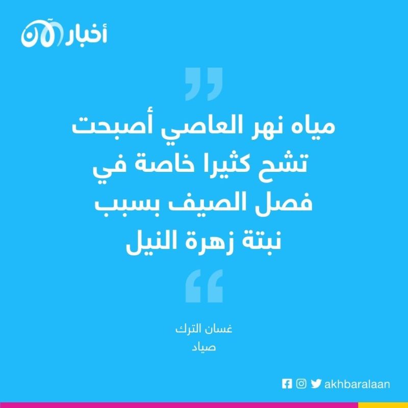 نبتة زهرة النيل تغزو نهر العاصي شمال غرب سوريا 2 نبتة زهرة النيل تغزو نهر العاصي شمال غرب سوريا