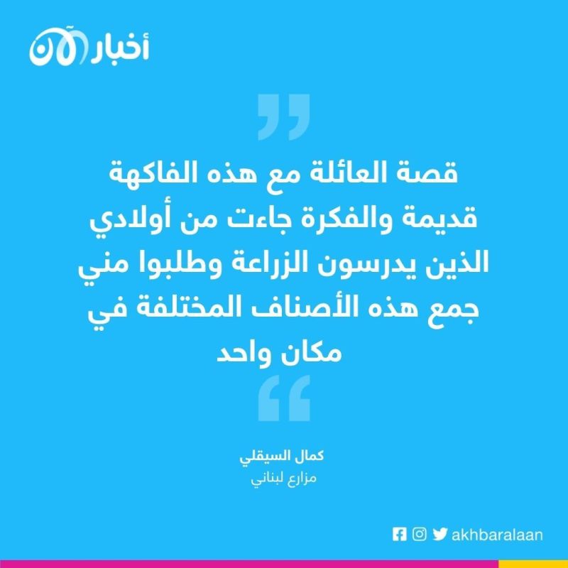 بنك العنب .. مزارع لبناني يجمع 72 صنفا من العنب مهددة بالاندثار