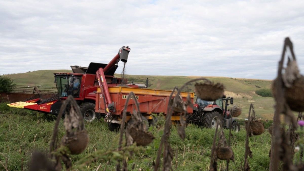 الأمم المتحدة تضع على الطاولة 5 طرق للتعامل مع أزمة المناخ 5 الأمم المتحدة تضع على الطاولة 5 طرق للتعامل مع أزمة المناخ