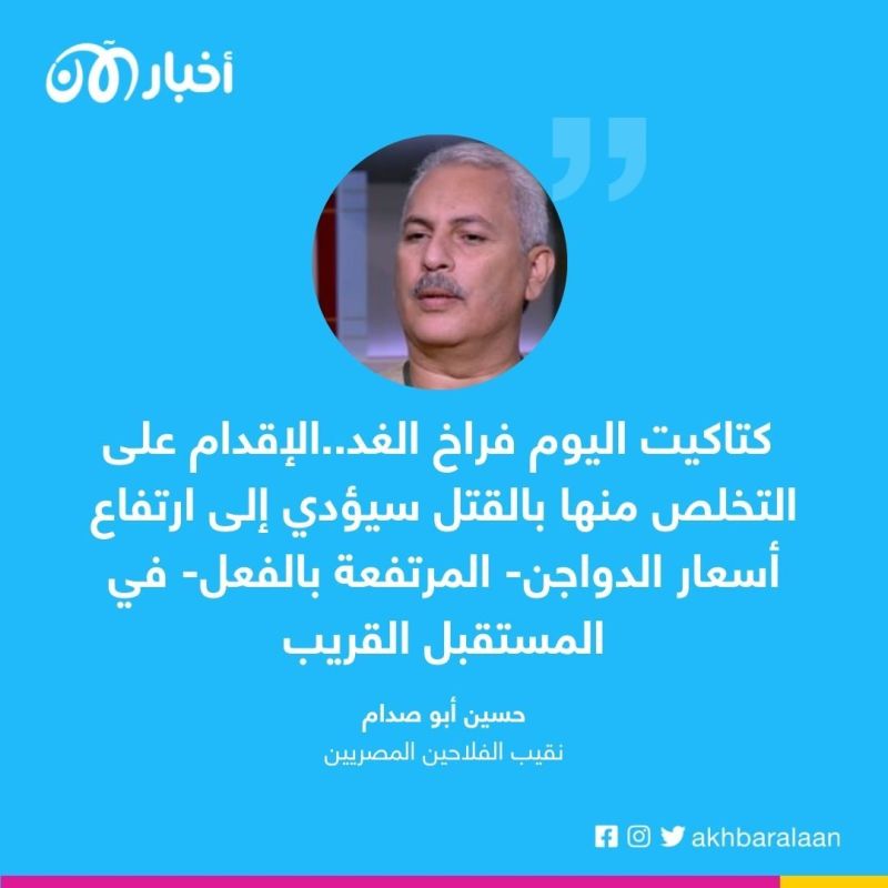 إعدام الكتاكيت.. كيف غير الغزو الروسي لأوكرانيا صناعة الدواجن في مصر؟