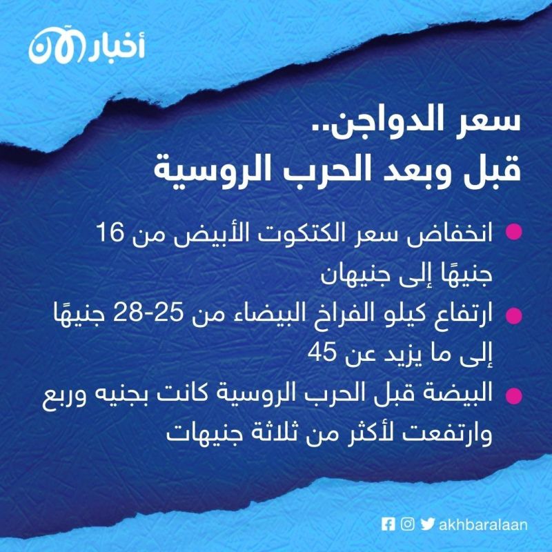 إعدام الكتاكيت.. كيف غير الغزو الروسي لأوكرانيا صناعة الدواجن في مصر؟