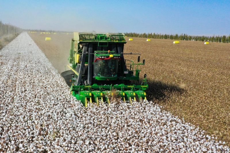 رئيس المؤتمر العالمي للإيغور: يجب حظر دخول المنتجات المصنوعة بالسخرة ولا يجب أن تستفيد الصين من دماء الإيغور 4 رئيس المؤتمر العالمي للإيغور: يجب حظر دخول المنتجات المصنوعة بالسخرة ولا يجب أن تستفيد الصين من دماء الإيغور