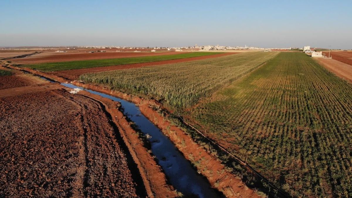 الكوليرا تعصف بأجساد السوريين بعدما أنهكتهم الحرب