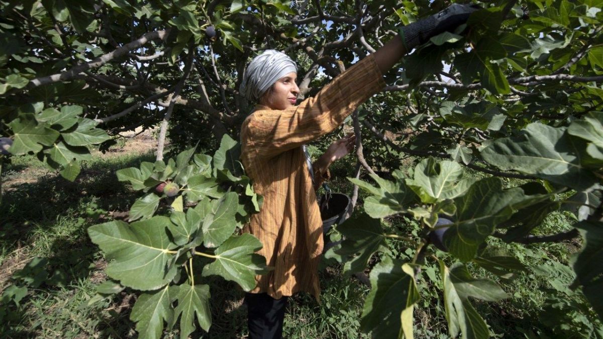 هل نحن في أزمة؟ الملايين معرضون لخطر النزوح المناخي في الشرق الأوسط