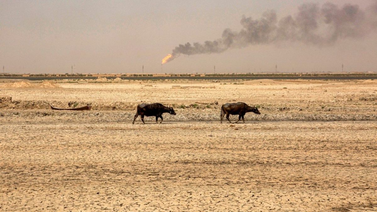 هل نحن في أزمة؟ الملايين معرضون لخطر النزوح المناخي في الشرق الأوسط