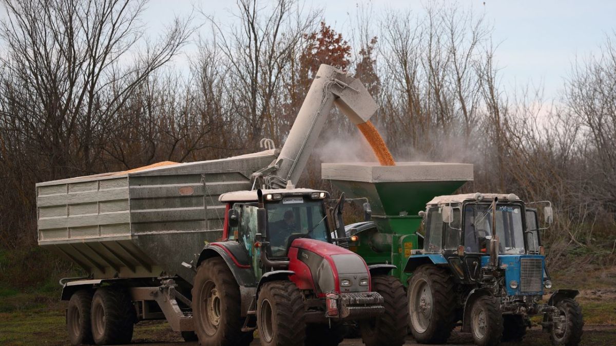 بعد تمديدها 4 أشهر.. ماذا تعرف عن اتفاقية تصدير الحبوب الأوكرانية