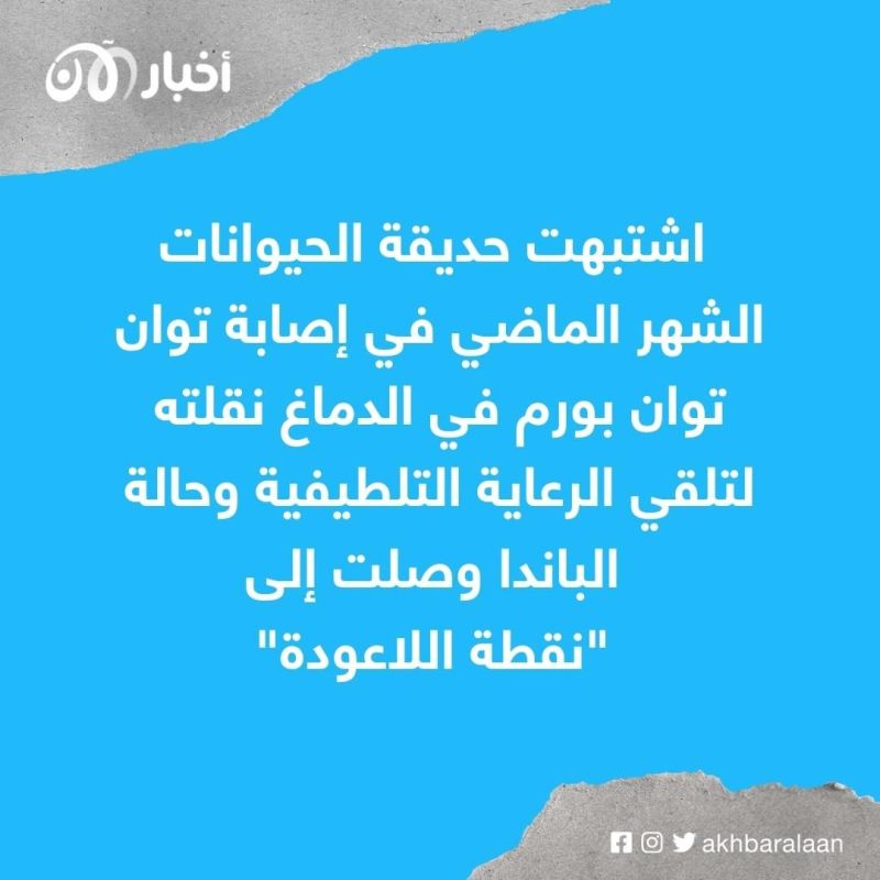 وفاة الباندا "توان توان" المقدم من الصين إلى تايوان