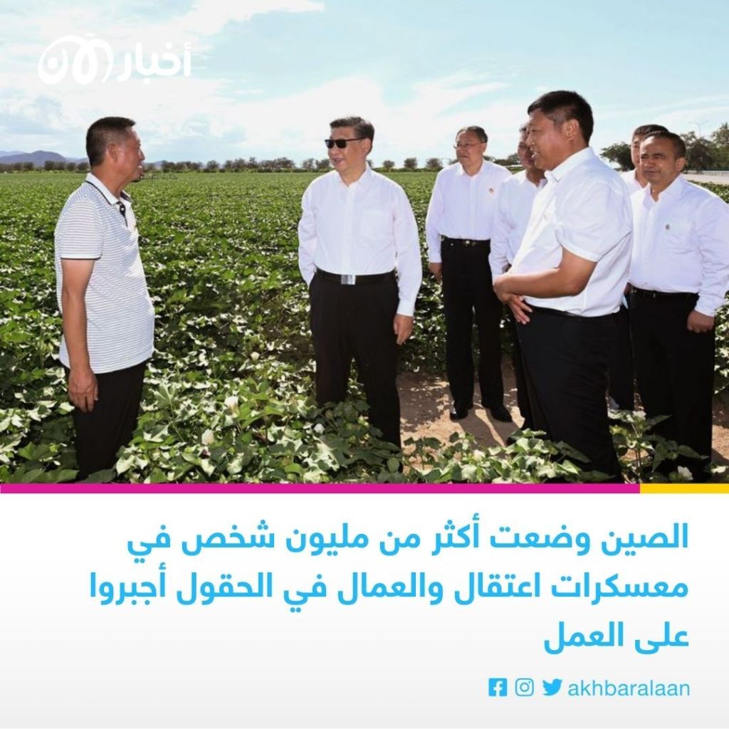 بعد اتهامها باستغلال "الإيغور".. هل تُواجه "شي إن" خطر الحظر؟ 3 شركة صينية تُفجر ثغرة في موقف الولايات المتحدة من العمل القسري في الصين