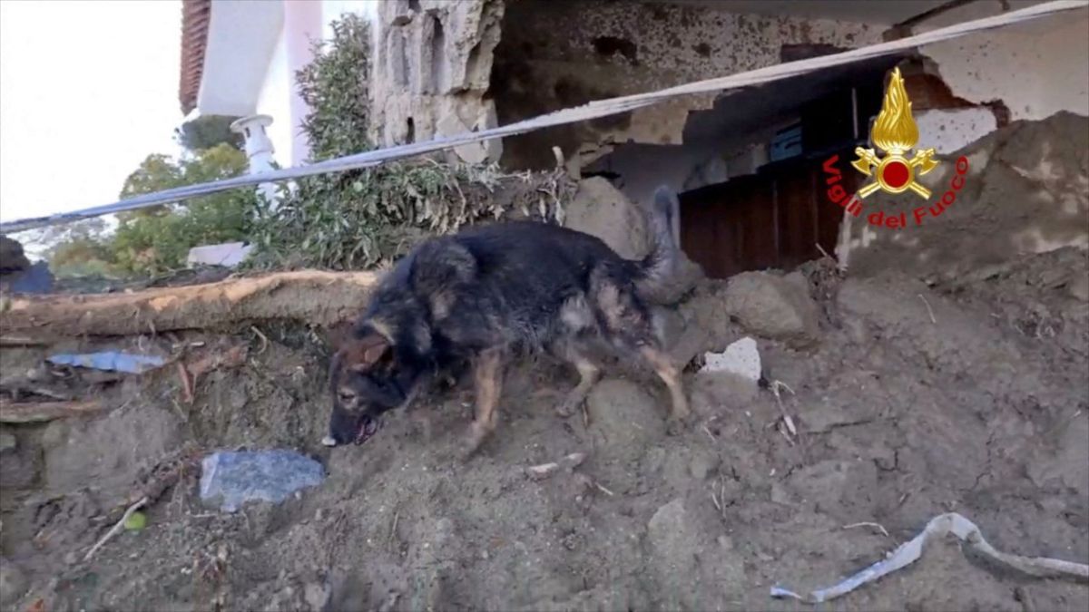 إعلان حال الطوارئ في جزيرة إيسكيا الإيطالية بعد انزلاق التربة