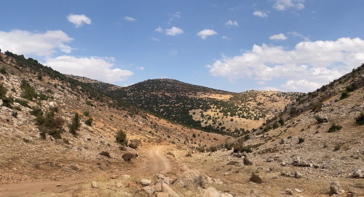 الكبتاجون من المصدر إلى المستهلك.. فمن هم أرباب حبَّة الموت؟ 5 الكبتاجون من المصدر إلى المستهلك.. فمن هم أرباب حبَّة الموت؟