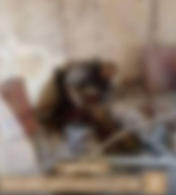  قنوات مؤيدة لتنظيم القاعدة تنشر صورة لزعيم داعش المقتول أبو الحسن الهاشمي القرشي