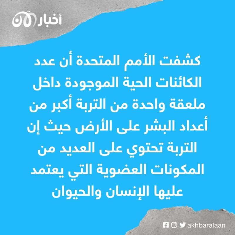 في يوم التربة العالمي.. كيف تؤثر على حياة الأنسان؟