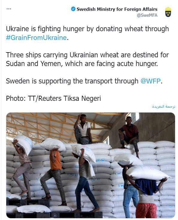 وصول 3 شحنات قمح من أوكرانيا إلى اليمن والسودان