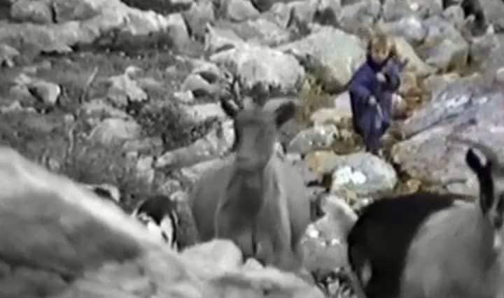 5 حكايات من الطفولة القاسية لنجوم كأس العالم في المربع الذهبي