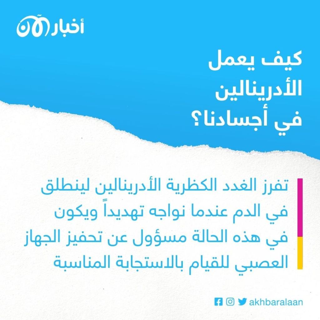 يجعلنا في وضع الهروب.. كيف نتعامل مع ارتفاع مستويات الأدرينالين؟