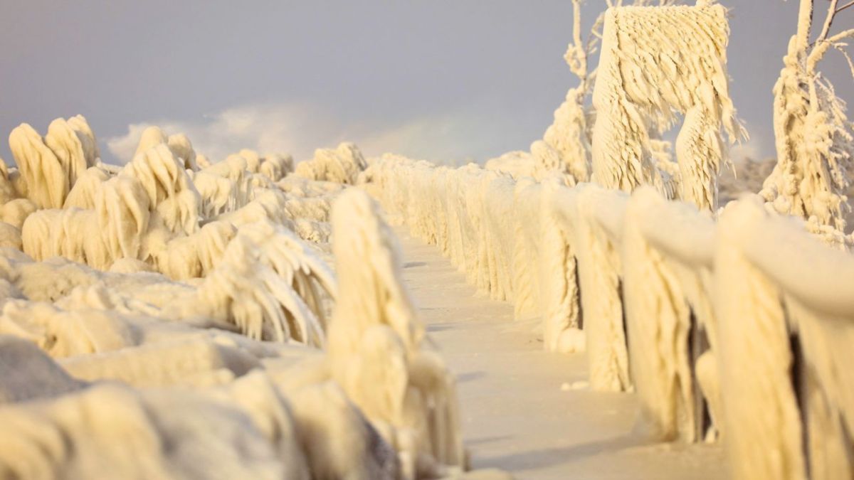 عاصفة القرن