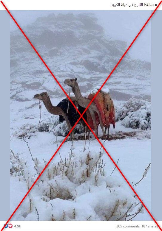 ثلوج الكويت.. ما هي حقيقة الصور المتداولة؟